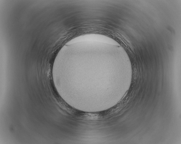 X0000115400328200912151525