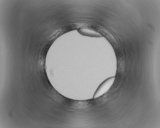 X0000115400329200912151525