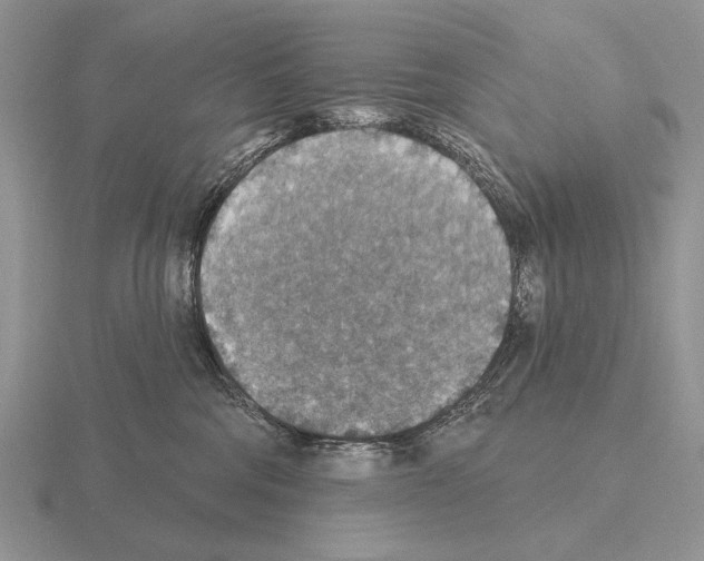 X0000115400330200912151525