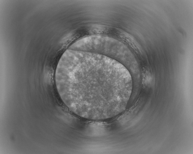 X0000115400332200912151525