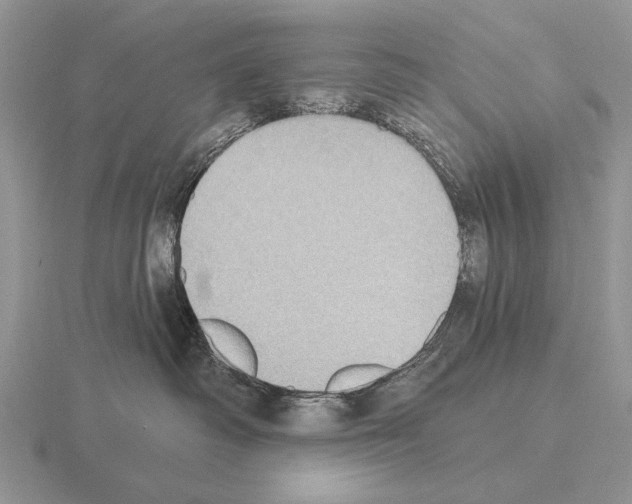 X0000115400334200912151525