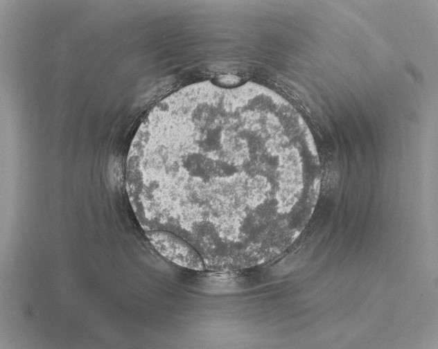 X0000115400335200912151525