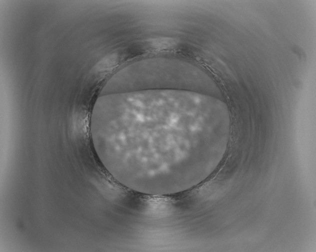 X0000115400336200912151525