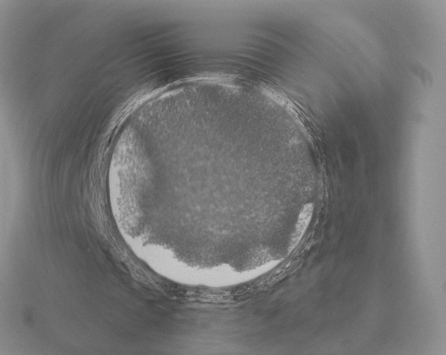 X0000115400337200912151525