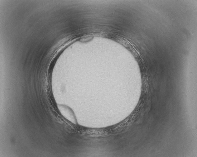 X0000115400338200912151525