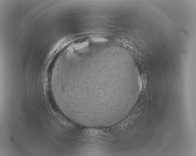 X0000115400339200912151525