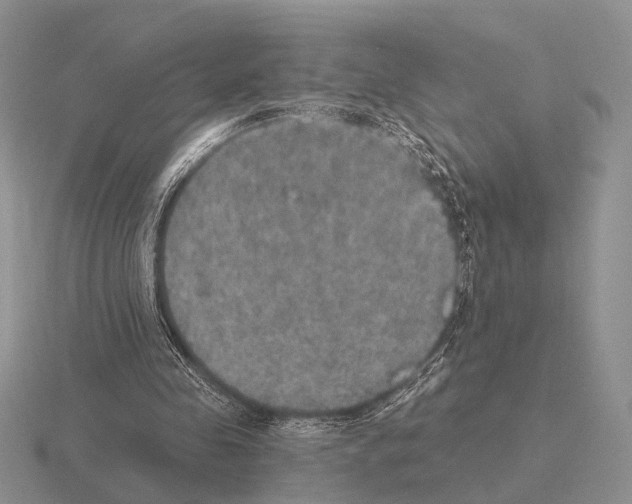 X0000115400341200912151525