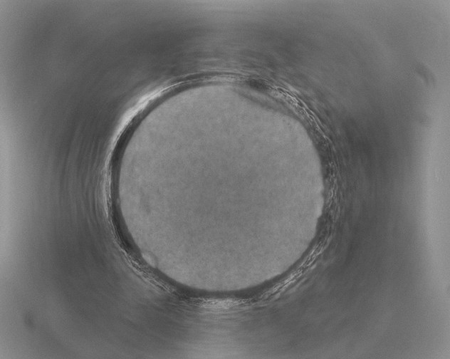 X0000115400342200912151525