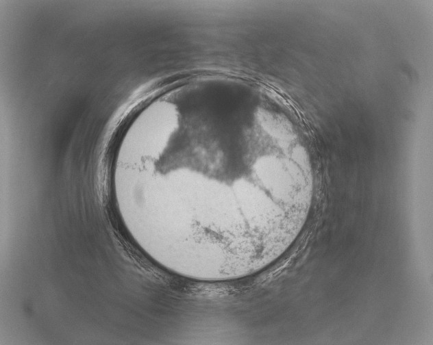 X0000115400343200912151525