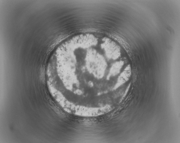 X0000115400345200912151525