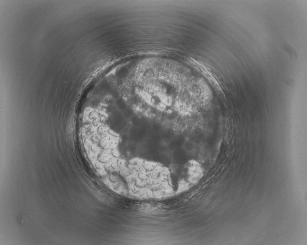 X0000115400346200912151525