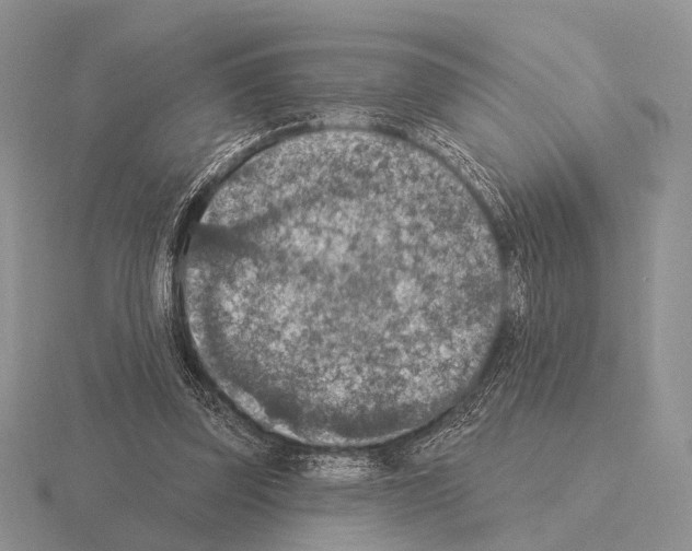 X0000115400347200912151525