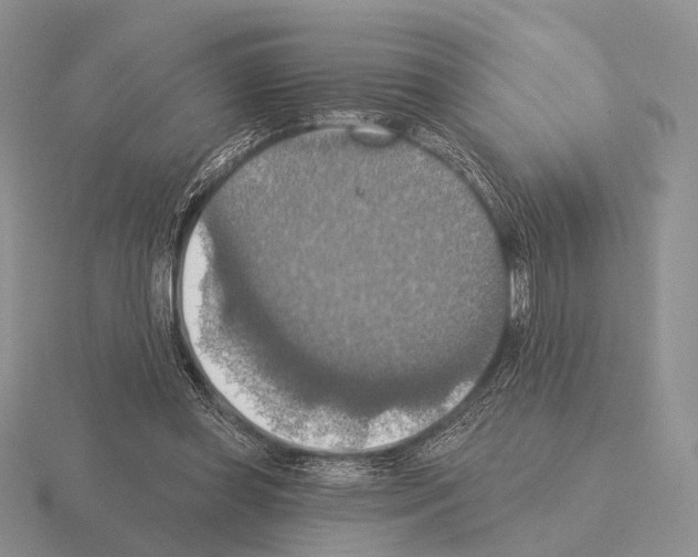 X0000115400349200912151525