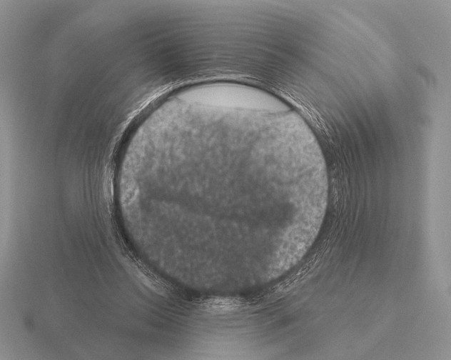 X0000115400350200912151525