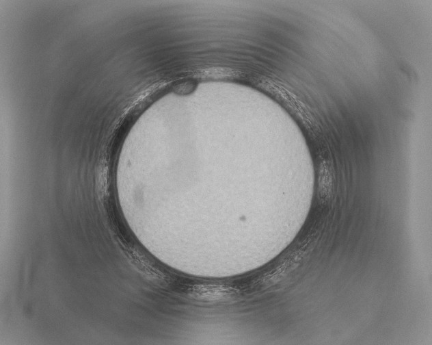 X0000115400351200912151525