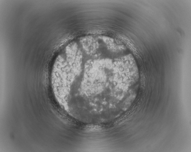 X0000115400354200912151525