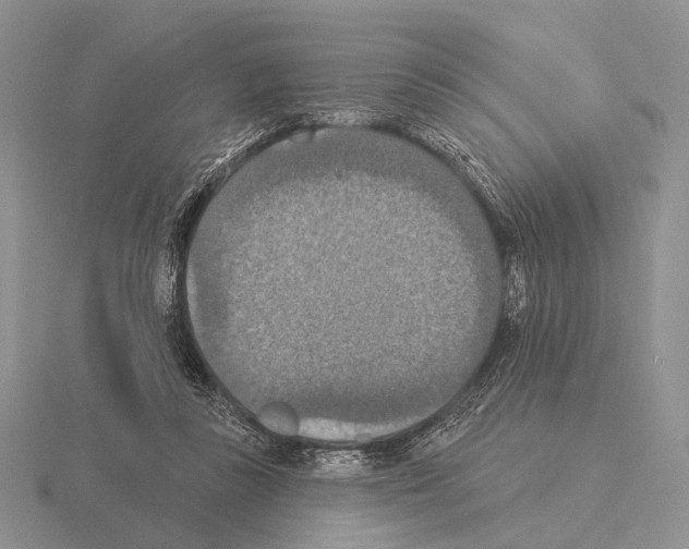 X0000115400355200912151525