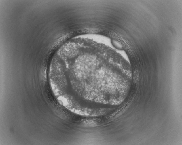 X0000115400358200912151525