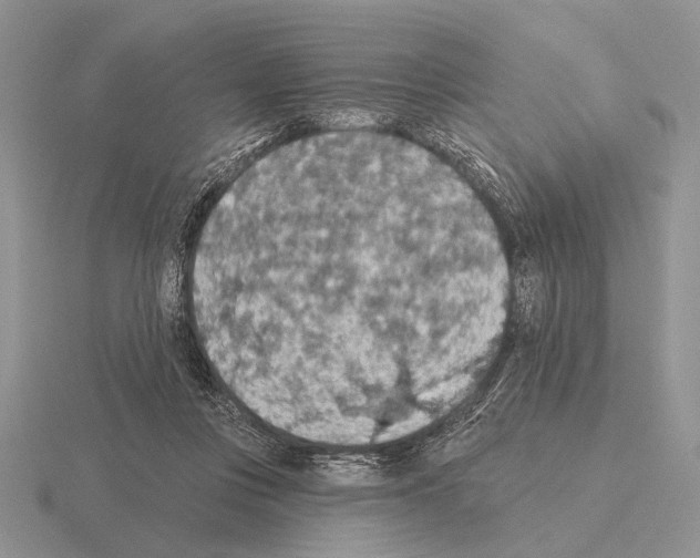 X0000115400359200912151525