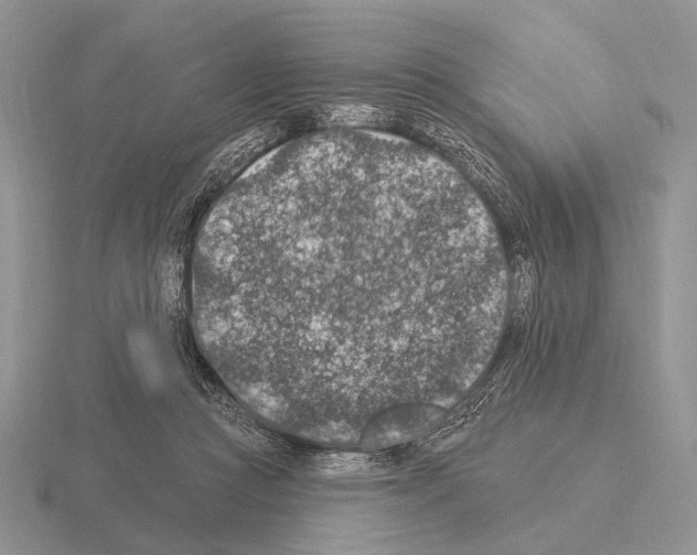 X0000115400361200912151525