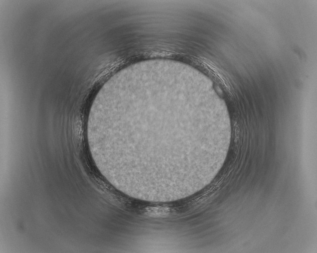 X0000115400362200912151525