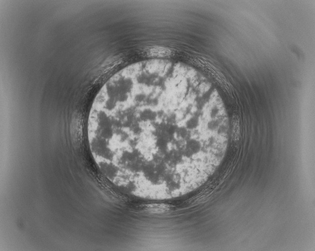 X0000115400363200912151525