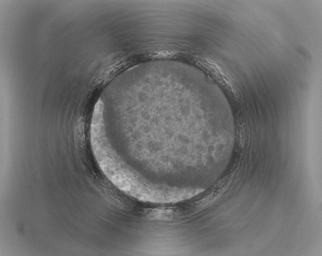 X0000115400366200912151525