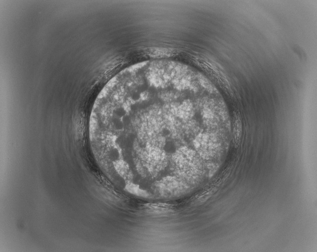 X0000115400367200912151525