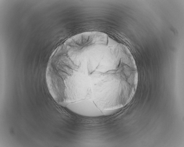 X0000115400369200912151525