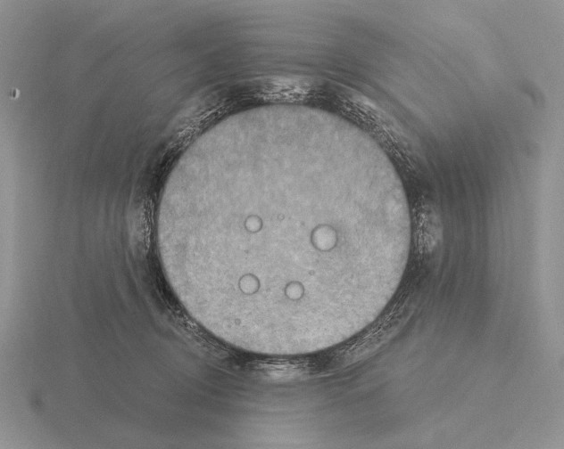 X0000115400370200912151525