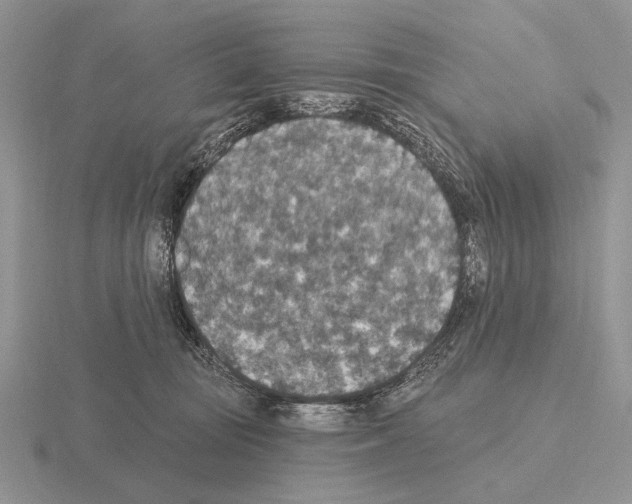 X0000115400371200912151525