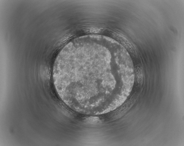 X0000115400374200912151525