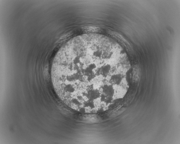 X0000115400377200912151525