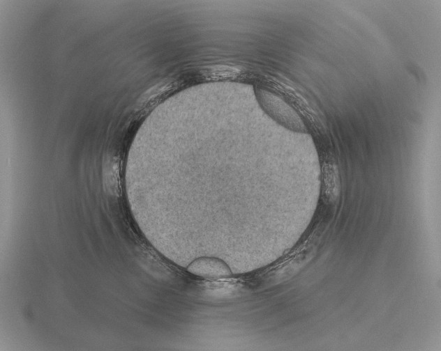 X0000115400378200912151525