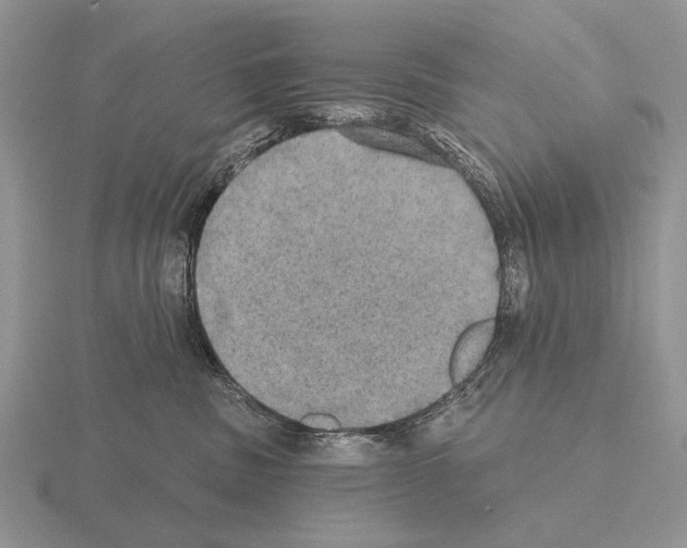 X0000115400379200912151525