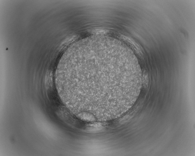 X0000115400381200912151525