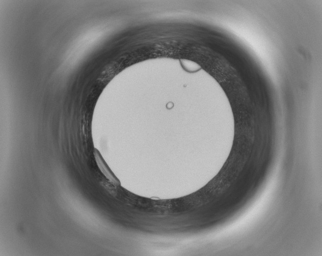 X0000115400382200912151525