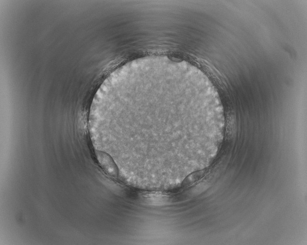 X0000115400383200912151525