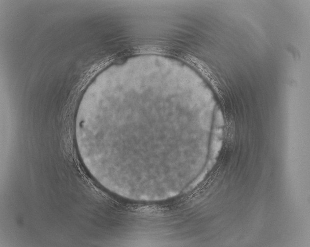 X0000115400385200912151525