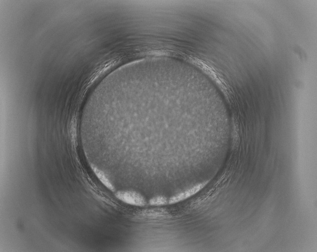 X0000115400386200912151525