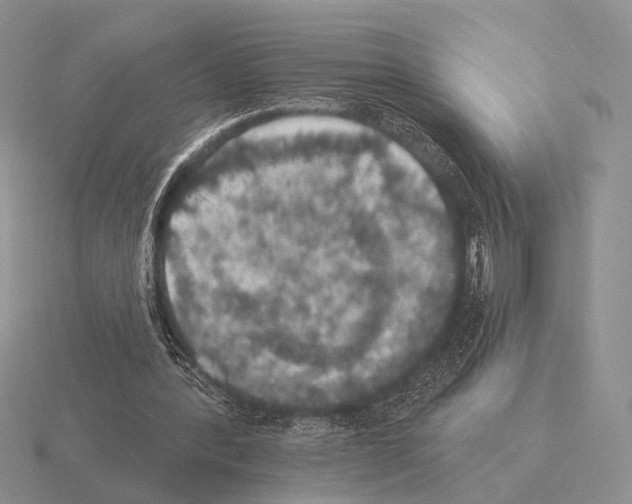 X0000115400388200912151524