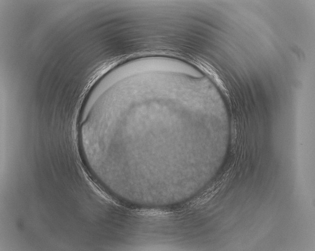 X0000115400389200912151524