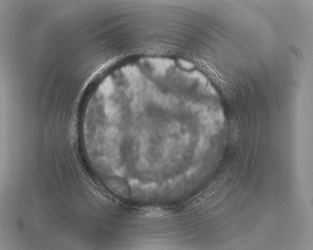 X0000115400392200912151524