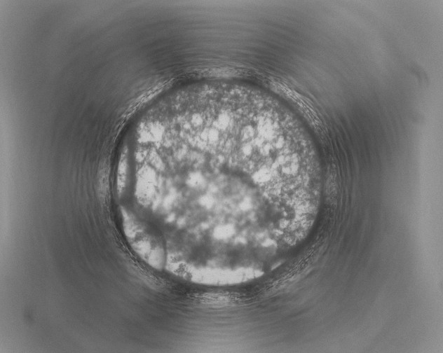 X0000115400394200912151524