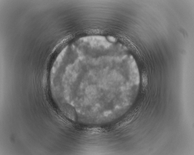 X0000115400396200912151524