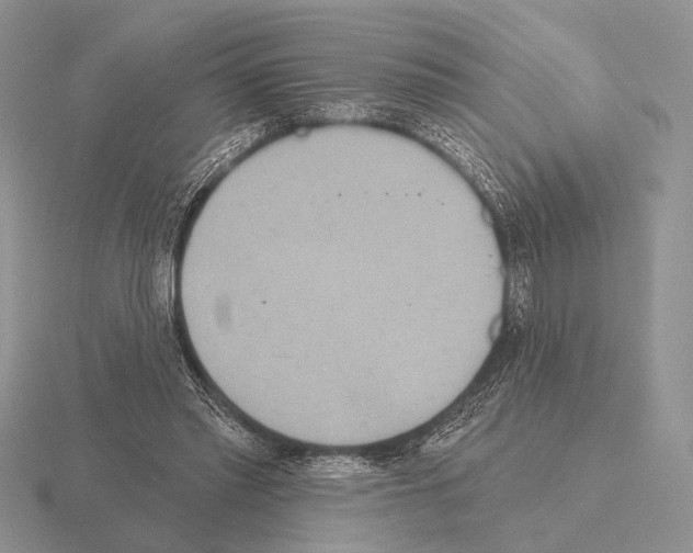 X0000115400397200912151524