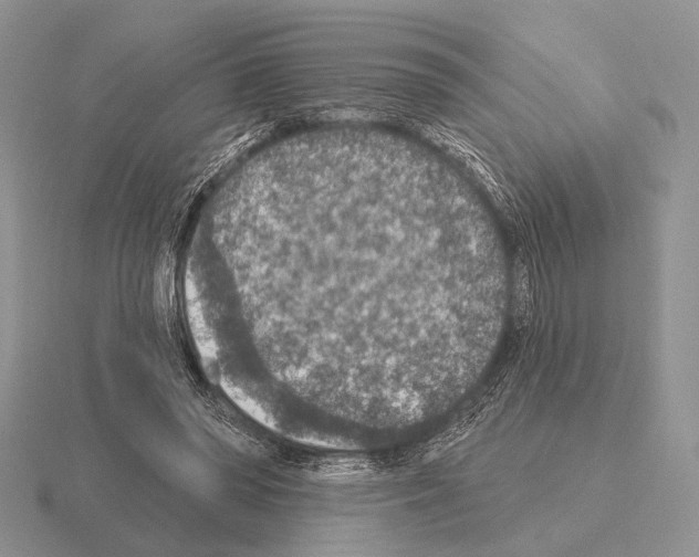 X0000115400398200912151524