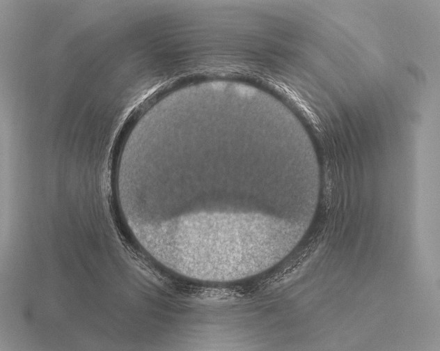 X0000115400399200912151524