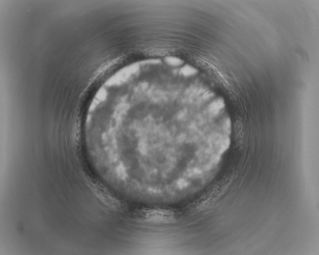 X0000115400400200912151524