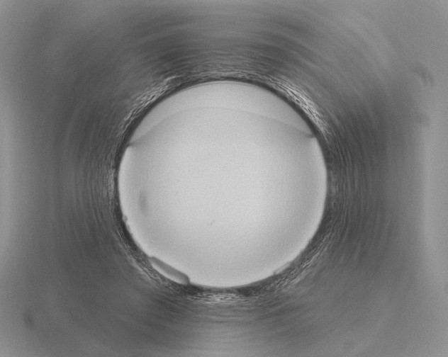 X0000115400401200912151524